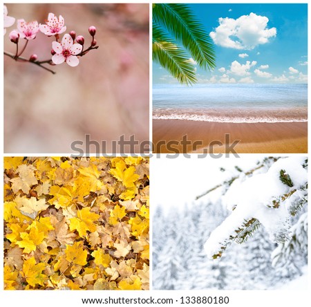 Four season conceptual collage