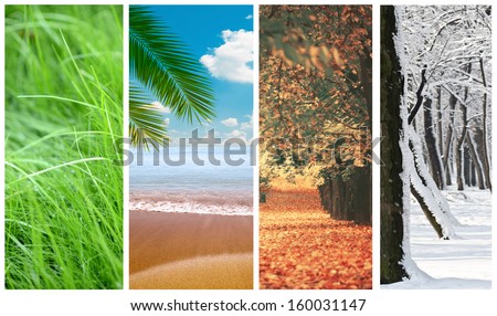 Four seasons collage