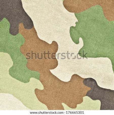 Military texture - camouflage