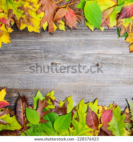Perfect Autumn background made of multicolored autumnal leaves making frame