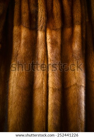 Fury animal coat