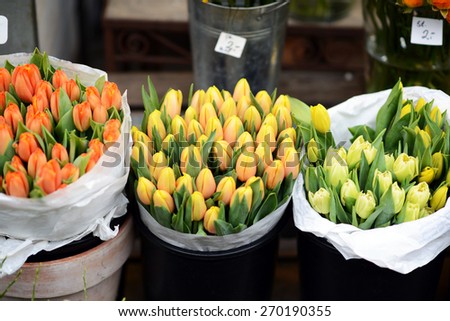 Tulips at flower market