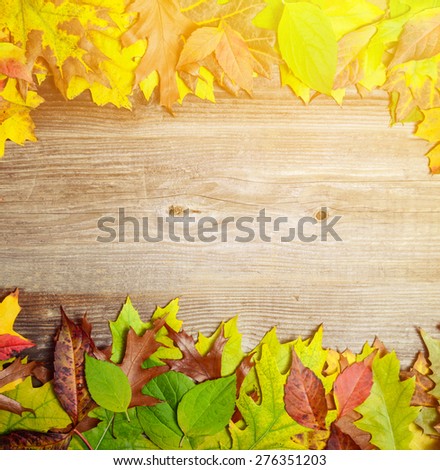 Perfect Autumn background made of multicolored autumnal leaves making frame