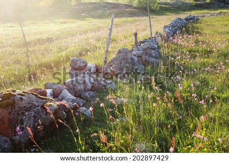 Old low stone wall at coastal meadow (salt meadow) in the evening sun in Helgeland, Norway. Focus on stone with moss.