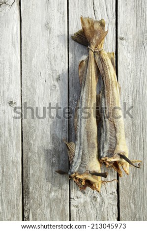 Two dried cods hanging at gray weathered boathouse wall in Nordland, Norway.