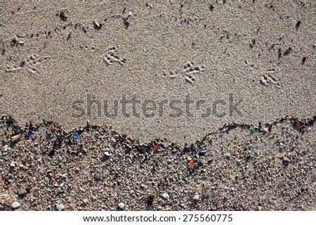 Bird's footsteps at sand, underlined by wave pattern consisting of button, glass pieces and shells.