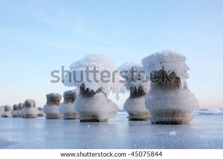 Ice tops of old wooden pier poles