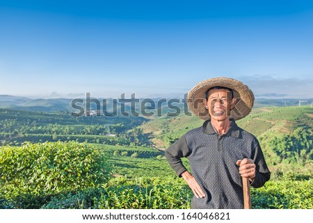 Since early morning Farmers leave on a tea plantation...