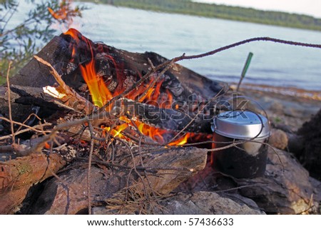 Cooking on fire during picnic