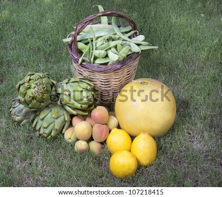 Fresh vegetables and fruits on garden floor