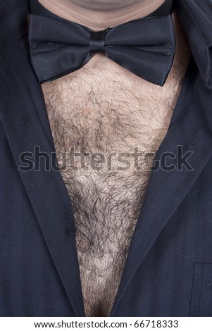 Hairy male chest