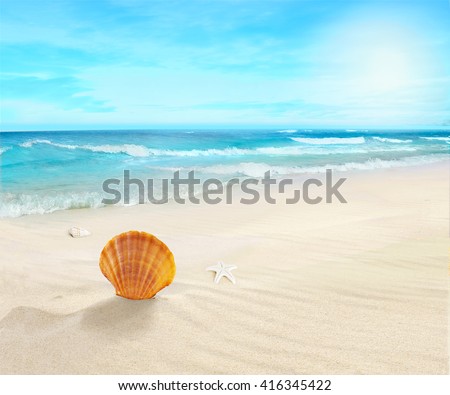 Landscape on sunny beach.