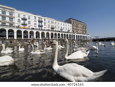 Hamburg River