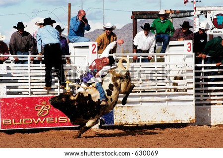 A cowboy rides a brahma bull in the bull riding competition.