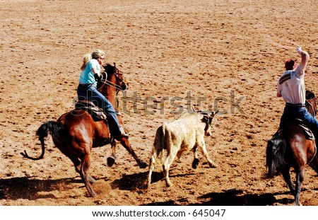 a rodeo