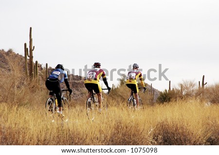 Competitors in a bike race through the Arizona desert.