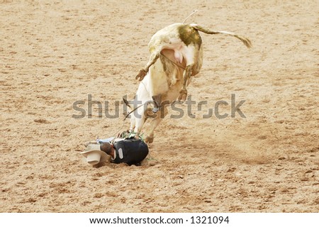 A bull rider in a dangerous position on the ground.
