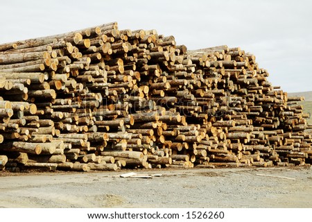 Piles of logs ready for processing at a lumber mill.