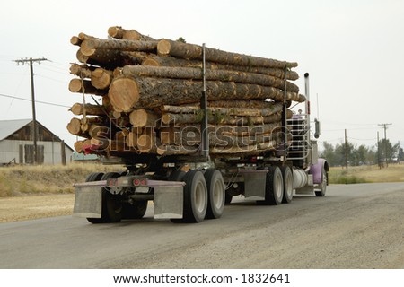 A load of logs being transported to the sawmill.