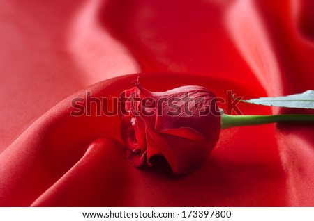 A single red rose as a symbol of love or Valentines Day, lying on red satin fabric which flows and drapes  in soft folds and ripples into soft focus in the background.