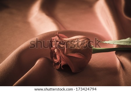 Copper hued vintage style image of a single red rose laid on draping satin fabric, with soft folds and ripples fading into soft focus in the background.  Symbolic of love, romance or Valentines Day.