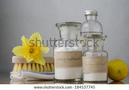 Natural cleaning products, including sodium bicarbonate, salt, white vinegar and lemon, folded cloth, bristle brush and a daffodil to suggest Spring cleaning.