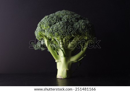 A head of broccoli, tree shaped and standing upright on black surface against black background.  Lit to create dark, moody effect and strong contrast of light and shade.