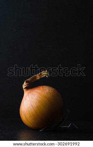 Side view of a single onion photographed at eye level on black slate with black background.