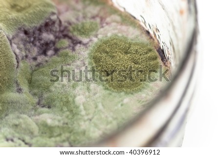 Macro shot of green bacteria growing on jam.  White background.