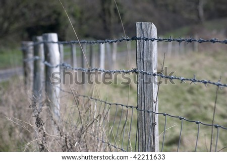 A barbed wire fence curving away by a country road with grasses at the beginning of Autumn.  Shallow depth of field with a road and trees in soft focus in the background.