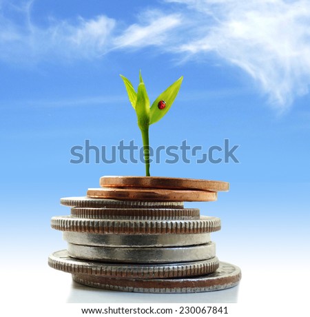 Green plant shoot with ladybug growing from coins