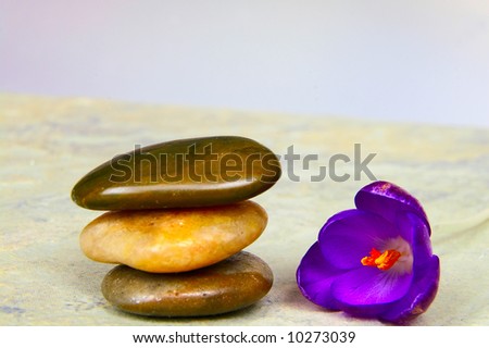 Three smooth river stones and purple flower