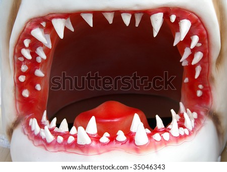 open shark mouth closeup with jagged teeth