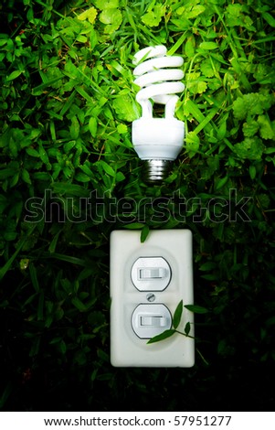 effiicient light bulb and switch in green grass