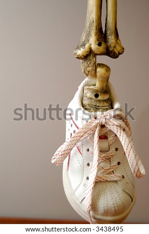 Skeleton wearing a tennis shoe.