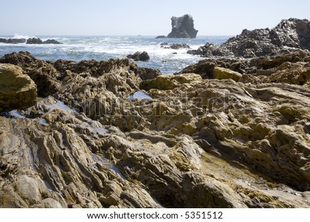 Landscape of a rocky beach with tide pools