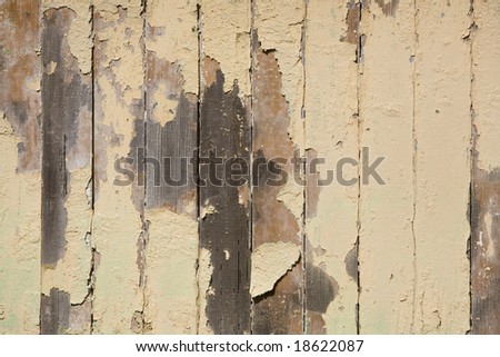 Horizontal image of peeling paint on a hurricane damaged house.