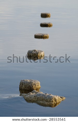 Vertical image of stumps sticking out of the water on a glassy lake on the Salton Sea in California