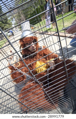 LOS ANGELES - APRIL 22: James Chavonac dresses as an orangutan to non-violently protest animal research at UCLA on Earth Day,  April 22, 2009 in Los Angeles.