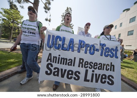 LOS ANGELES - APRIL 22: Pro science marchers defend the use of animals in biomedical research April 22nd, 2009 in Los Angeles.  UCLA Pro-Test campaign estimates 800-1000 marchers attended.