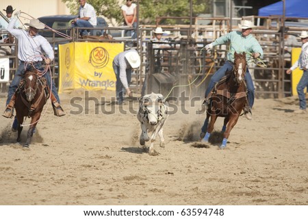 SAN DIMAS, CA - OCTOBER 2: Cowboys Travis Gorham and Tim Zigrang compete in the Team Roping event at the San Dimas Rodeo on October 2, 2010 in San Dimas, CA.