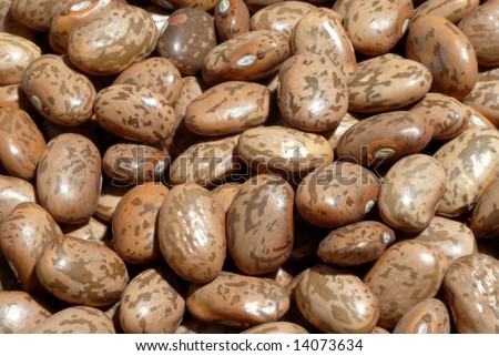 Beans:  A handful of uncooked raw pinto beans.