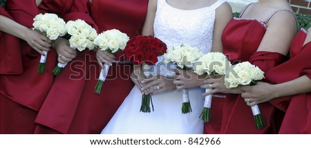 Picture of a row of bridesmaids and bride with their bouquets