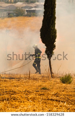 Firefighter extinguish a fire in the forest with a water hose