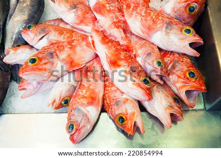 Orange fishes at fish market.