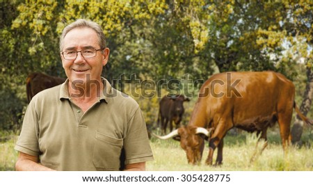 Cattle rancher portrait. Brown cows in the background.