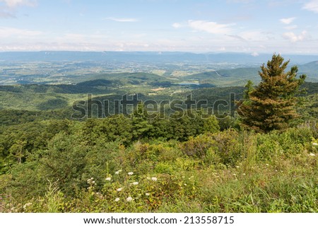 Mountain Vista from Stony Man Mountain Overlook, Skyline Drive, Shenandoah National Park, Virginia