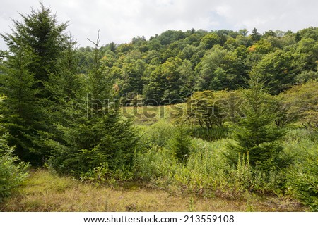 Rolling hills and woods at the site of the abandoned town of Spruce, West Virginia