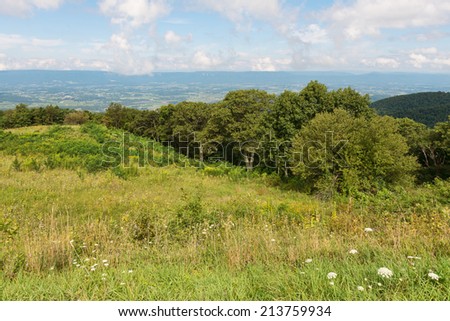 Mountain Vista from Spitler Knoll Overlook, Skyline Drive, Shenandoah National Park, Virginia