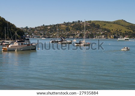 Tiburon peninsula and Raccoon Strait from Angel Island, San Francisco Bay, California